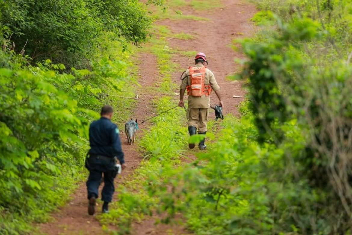 Crise climática e COP30 os bastidores dos bombeiros para a conferência - Revista Incêndio