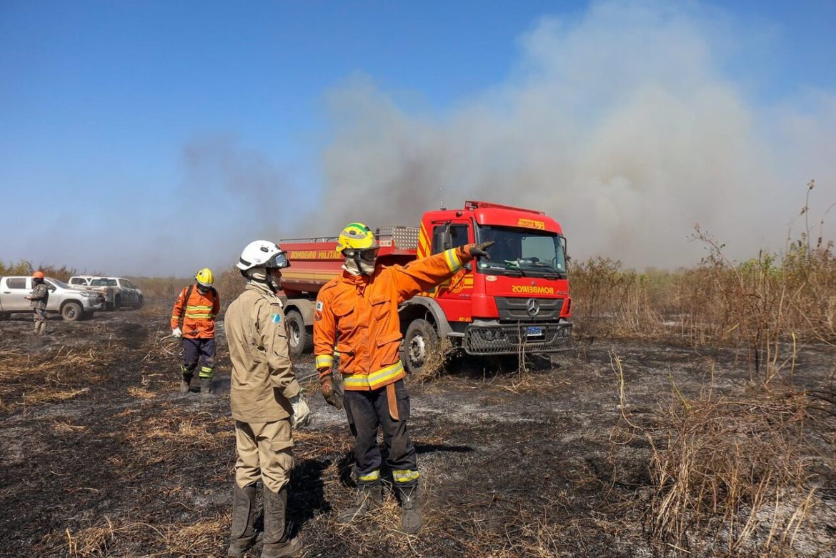 Resiliência do Pantanal é influenciada pela adaptação em lidar com o fogo, aponta estudo - Revista Incêndio
