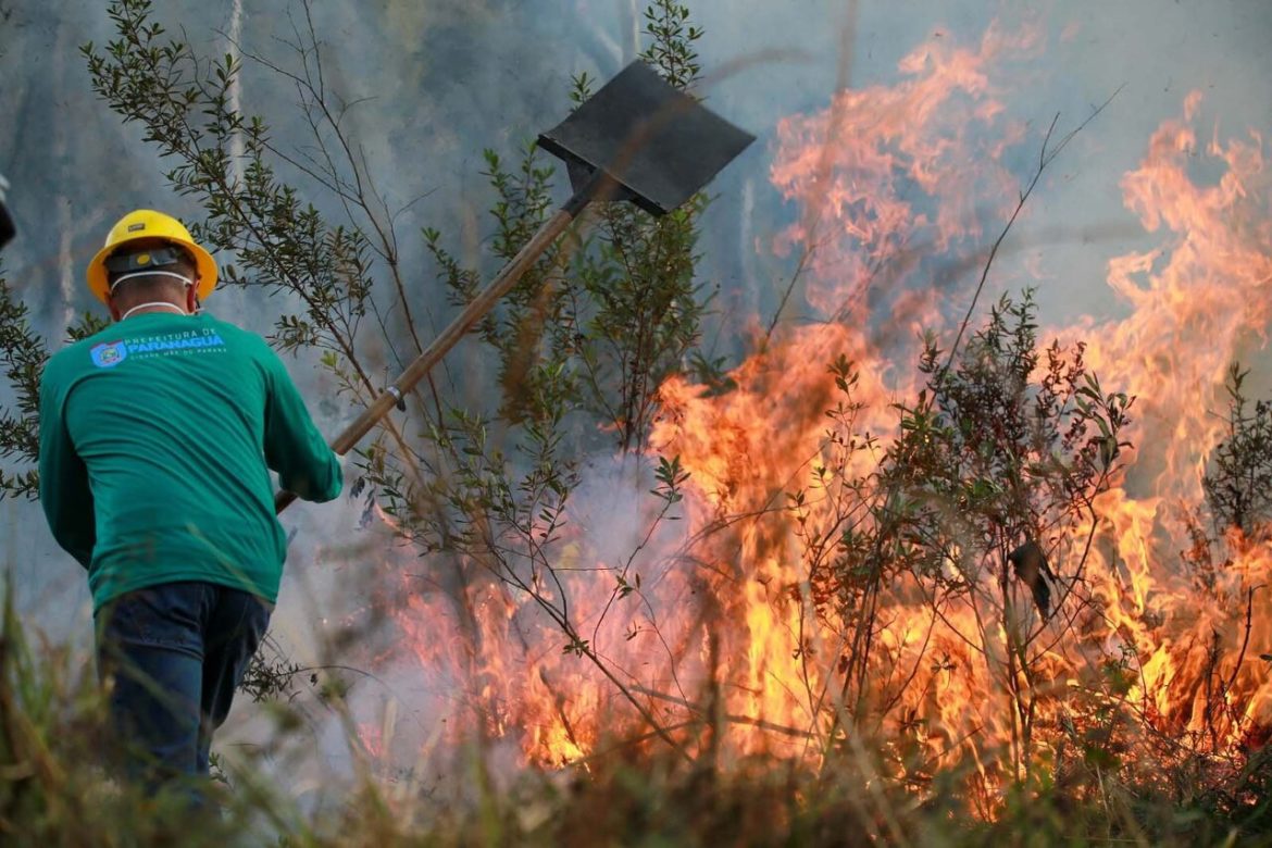 Voluntários se capacitam para atuar no combate a incêndios no Paraná - Revista Incêndio