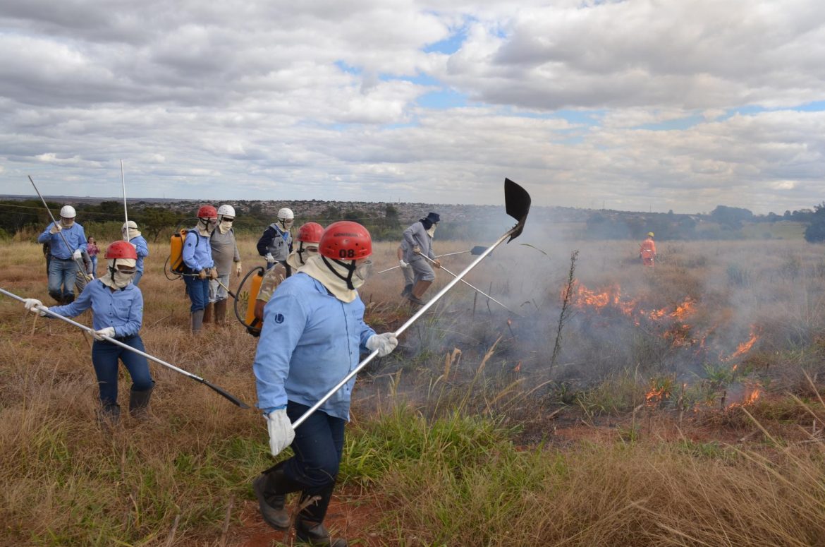 Bombeiros formam multiplicadores de prevenção e segurança nas universidades - Caderno Incêndio